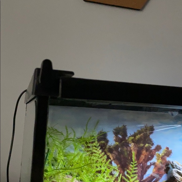 Reptile (leopard Gecko) Tank - Picture 6 of 6